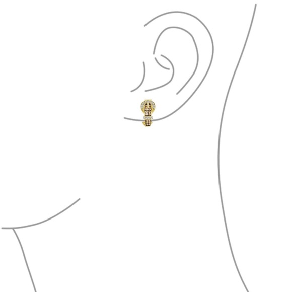 14k Chocolate Champagne and Vanilla Diamonds Earrings - Picture 3 of 10